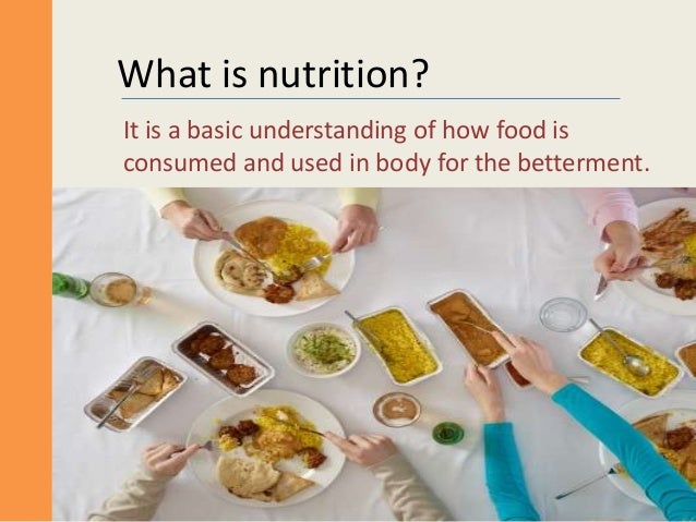 what is the meaning of food scientist