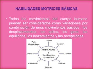 • Todos los movimientos del cuerpo humano
pueden ser considerados como variaciones por
combinación de unos movimientos básicos : los
desplazamientos, los saltos, los giros, los
equilibrios, los lanzamientos y las recepciones.
 