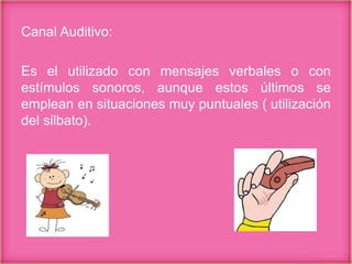 Canal Auditivo:
Es el utilizado con mensajes verbales o con
estímulos sonoros, aunque estos últimos se
emplean en situaciones muy puntuales ( utilización
del silbato).
 