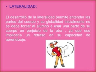 El desarrollo de la lateralidad permite entender las
partes del cuerpo y su globalidad inicialmente no
se debe forzar al alumno a usar una parte de su
cuerpo en perjuicio de la otra , ya que eso
implicaría un retraso en su capacidad de
aprendizaje.
 