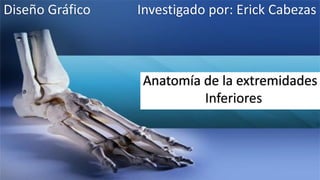 Anatomía de la extremidades
Inferiores
Investigado por: Erick CabezasDiseño Gráfico
 