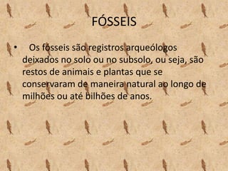 FÓSSEIS
• Os fósseis são registros arqueólogos
deixados no solo ou no subsolo, ou seja, são
restos de animais e plantas que se
conservaram de maneira natural ao longo de
milhões ou até bilhões de anos.
 