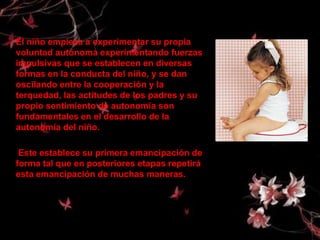 El niño empieza a experimentar su propia
voluntad autónoma experimentando fuerzas
impulsivas que se establecen en diversas
formas en la conducta del niño, y se dan
oscilando entre la cooperación y la
terquedad, las actitudes de los padres y su
propio sentimiento de autonomía son
fundamentales en el desarrollo de la
autonomía del niño.

 Este establece su primera emancipación de
forma tal que en posteriores etapas repetirá
esta emancipación de muchas maneras.
 