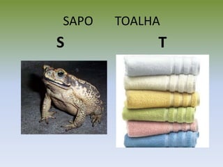 SAPO TOALHA
S T
 