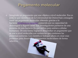  Imagínate un pegamento que une objetos a nivel molecular. Eso es
justo lo que científicos de la Universidad de Oxford han consegido
crear: un pegamento molecular obtenido gracias a la
bacteria Streptococcus pyogenes, conocida por su capacidad de
desintegrar y digerir carne. Los investigadores partieron de una
proteína de esta bacteria (la que utiliza para unirse a células
humanas). De esta forma lograron desarrollar un pegamento que
se une a nivel molecular con sustancias que contienen las
proteínas correctas. Los científicos trabajan ahora en crear esas
proteínas para desarrollar pegamentos moleculares de forma
selectiva.
 