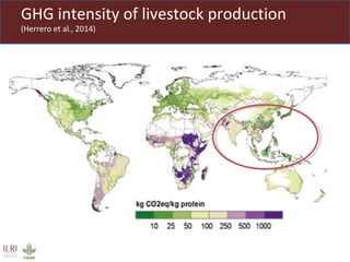 Climate smart livestock interventions