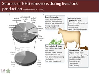 Climate smart livestock interventions