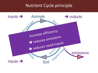 Climate smart livestock interventions