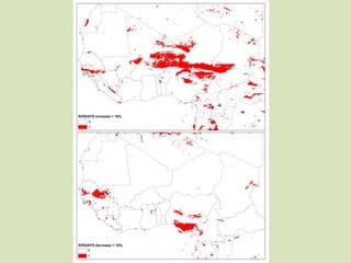 Climate change in sub-Saharan Africa: Consequences and implications for the “Future of Pastoralism”