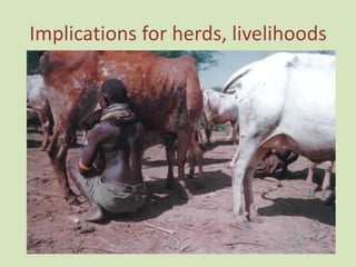 Climate change in sub-Saharan Africa: Consequences and implications for the “Future of Pastoralism”