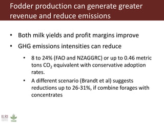 Low emission investment options for the dairy sector: The case of improved fodder production