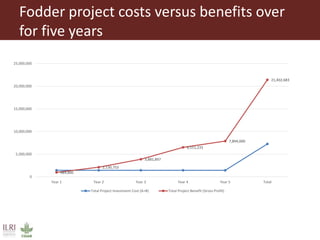 Low emission investment options for the dairy sector: The case of improved fodder production