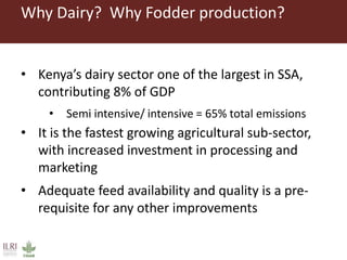 Low emission investment options for the dairy sector: The case of improved fodder production