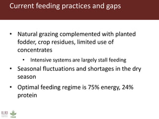 Low emission investment options for the dairy sector: The case of improved fodder production