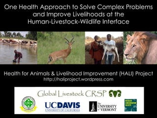 One Health Approach to Solve Complex Problems and Improve Livelihoods at theHuman-Livestock-Wildlife Interface Health for Animals & Livelihood Improvement (HALI) Project http://haliproject.wordpress.com 
