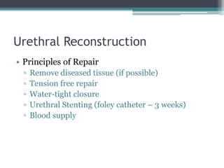 Urethral Reconstruction
• Principles of Repair
▫ Remove diseased tissue (if possible)
▫ Tension free repair
▫ Water-tight closure
▫ Urethral Stenting (foley catheter – 3 weeks)
▫ Blood supply
 