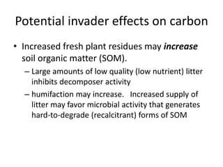 Potential invader effects on carbon
• Increased fresh plant residues may increase
soil organic matter (SOM).
– Large amounts of low quality (low nutrient) litter
inhibits decomposer activity
– humifaction may increase. Increased supply of
litter may favor microbial activity that generates
hard-to-degrade (recalcitrant) forms of SOM
 