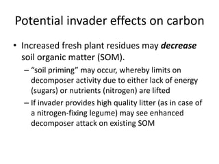 Potential invader effects on carbon
• Increased fresh plant residues may decrease
soil organic matter (SOM).
– “soil priming” may occur, whereby limits on
decomposer activity due to either lack of energy
(sugars) or nutrients (nitrogen) are lifted
– If invader provides high quality litter (as in case of
a nitrogen-fixing legume) may see enhanced
decomposer attack on existing SOM
 