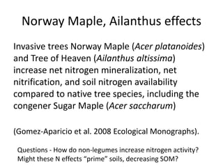 Norway Maple, Ailanthus effects
Invasive trees Norway Maple (Acer platanoides)
and Tree of Heaven (Ailanthus altissima)
increase net nitrogen mineralization, net
nitrification, and soil nitrogen availability
compared to native tree species, including the
congener Sugar Maple (Acer saccharum)
(Gomez-Aparicio et al. 2008 Ecological Monographs).
Questions - How do non-legumes increase nitrogen activity?
Might these N effects “prime” soils, decreasing SOM?
 