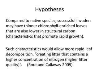 Hypotheses
Compared to native species, successful invaders
may have thinner chlorophyll-enriched leaves
that are also lower in structural carbon
(characteristics that promote rapid growth).
Such characteristics would allow more rapid leaf
decomposition, “creating litter that contains a
higher concentration of nitrogen (higher litter
quality)”. (Rout and Callaway 2009)
 
