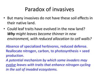 Paradox of invasives
• But many invasives do not have these soil effects in
their native land.
• Could leaf traits have evolved in the new land?
Why might leaves become thinner in new
environment, with reduced allocation to cell walls?
Absence of specialized herbivores, reduced defense.
Reallocate nitrogen, carbon, to photosynthesis + seed
production.
A potential mechanism by which some invaders may
evolve leaves with traits that enhance nitrogen cycling
in the soil of invaded ecosystems.
 