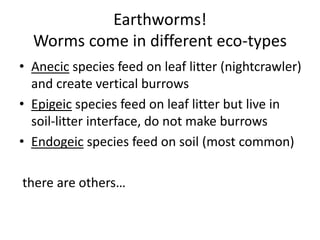 Earthworms!
Worms come in different eco-types
• Anecic species feed on leaf litter (nightcrawler)
and create vertical burrows
• Epigeic species feed on leaf litter but live in
soil-litter interface, do not make burrows
• Endogeic species feed on soil (most common)
there are others…
 