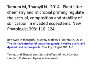 Tamura M, Tharayil N. 2014. Plant litter
chemistry and microbial priming regulate
the accrual, composition and stability of
soil carbon in invaded ecosystems. New
Phytologist 203: 110–124.
Reviewed in thoughtful essay by Mathew E. Dornbush. 2014.
The myriad surprises of unwanted guests: invasive plants and
dynamic soil carbon pools. New Phytologist 203: 1–3
Tamura and Tharayil consider soil effects of two infamous
species : Kudzu and Japanese Knotweed
 