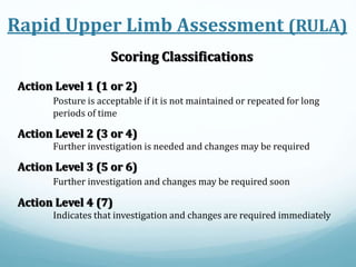 Scoring Classifications
Action Level 1 (1 or 2)
Posture is acceptable if it is not maintained or repeated for long
periods of time
Action Level 2 (3 or 4)
Further investigation is needed and changes may be required
Action Level 3 (5 or 6)
Further investigation and changes may be required soon
Action Level 4 (7)
Indicates that investigation and changes are required immediately
Rapid Upper Limb Assessment (RULA)
 