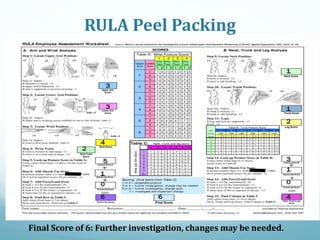 RULA Peel Packing
Final Score of 6: Further investigation, changes may be needed.
 