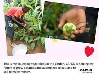 This is me collecting vegetables in the garden. CAFOD is helping my family to grow potatoes and aubergines to eat, and to  sell to make money. My family 
