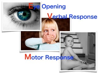 Eye Opening
Verbal Response
Motor Response
 