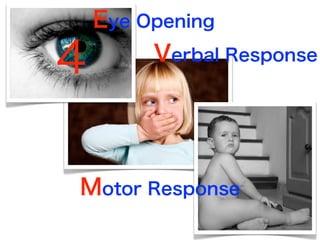 Eye Opening
Verbal Response
Motor Response
4
 