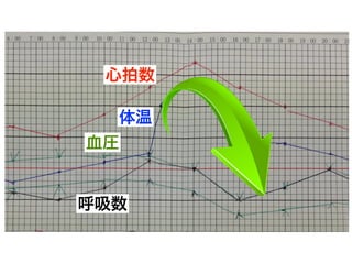 体温
心拍数
血圧
呼吸数
 