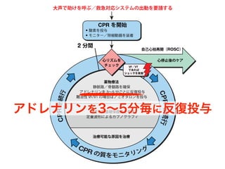 心リズムを
チェック
薬物療法
静脈路／骨髄路を確保
アドレナリンを 3∼5 分ごとに反復投与
難治性 VF/VT の場合はアミオダロンを投与
高度な気道確保器具を考慮
定量波形によるカプノグラフィ
治療可能な原因を治療
心停止後のケア
CPR を開始
酸素を投与
モニター／除細動器を装着
2 分間
VF／VT
であれば
ショックを実施
自己心拍再開（ROSC）
大声で助けを呼ぶ／救急対応システムの出動を要請する
CPRを続行
CPRを続行
アドレナリンを3∼5分毎に反復投与
 