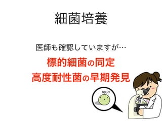 細菌培養
医師も確認していますが…
標的細菌の同定
高度耐性菌の早期発見
 