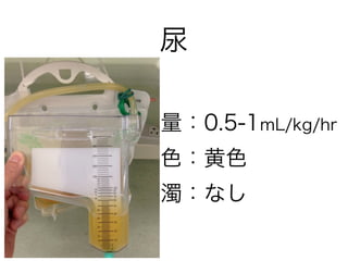 尿
量：0.5-1mL/kg/hr
色：黄色
濁：なし
 