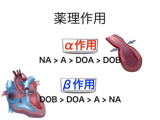薬理作用
α作用
DOB > DOA > A > NA
β作用
NA > A > DOA > DOB
 