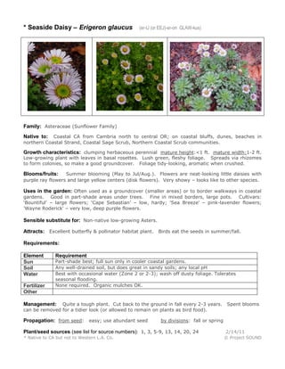 Erigeron glaucus | PDF