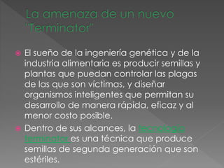  El sueño de la ingeniería genética y de la
industria alimentaria es producir semillas y
plantas que puedan controlar las plagas
de las que son víctimas, y diseñar
organismos inteligentes que permitan su
desarrollo de manera rápida, eficaz y al
menor costo posible.
 Dentro de sus alcances, la tecnología
terminator es una técnica que produce
semillas de segunda generación que son
estériles.
 