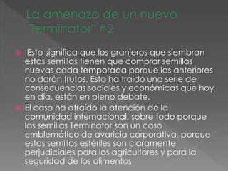  Esto significa que los granjeros que siembran
estas semillas tienen que comprar semillas
nuevas cada temporada porque las anteriores
no darán frutos. Esto ha traido una serie de
consecuencias sociales y económicas que hoy
en día, están en pleno debate.
 El caso ha atraído la atención de la
comunidad internacional, sobre todo porque
las semillas Terminator son un caso
emblemático de avaricia corporativa, porque
estas semillas estériles son claramente
perjudiciales para los agricultores y para la
seguridad de los alimentos
 