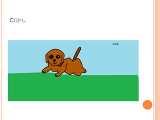 ՇՒՆ
 