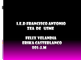I.E.D Francisco Antonio
Zea De Usme
felix velandia
Erika casteblanco
801-j.m
 
