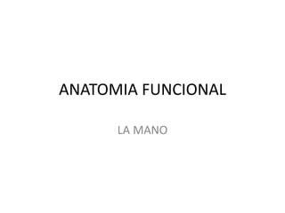 ANATOMIA FUNCIONAL 
LA MANO 
 