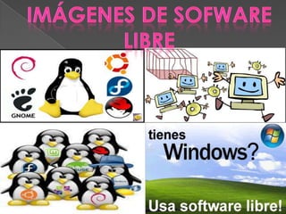 ERIKA CHUQUIANA PRUEBA DE INFORMATICA