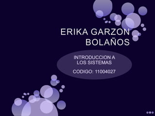 ERIKA GARZON BOLAÑOS INTRODUCCION A LOS SISTEMAS CODIGO: 11004027 