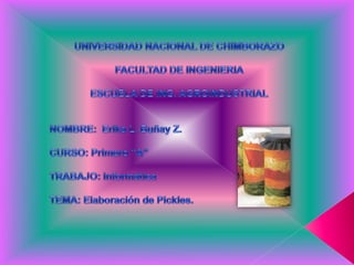 UNIVERSIDAD NACIONAL DE CHIMBORAZO FACULTAD DE INGENIERIA ESCUELA DE ING. AGROINDUSTRIAL NOMBRE:  Erika L. Buñay Z. CURSO: Primero “A” TRABAJO: Informática TEMA: Elaboración de Pickles. 