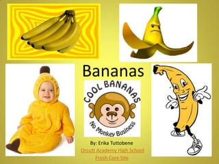 Bananas
By: Erika Tuttobene
Orcutt Academy High School
Frosh Core Site
 