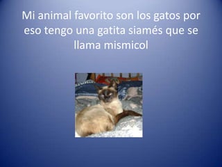 Mi animal favorito son los gatos por
eso tengo una gatita siamés que se
          llama mismicol
 
