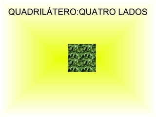 QUADRILÁTERO:QUATRO LADOS
 