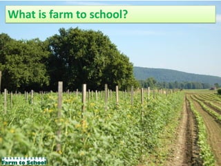 What is farm to school?
 
